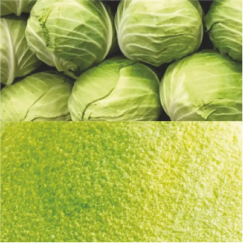 Common Cabbage Powder